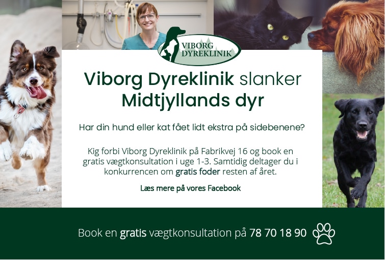 Viborg Dyreklinik slanker