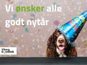 Billede med hund der har nytårshat på og teksten: Vi ønsker alle godt nytår
